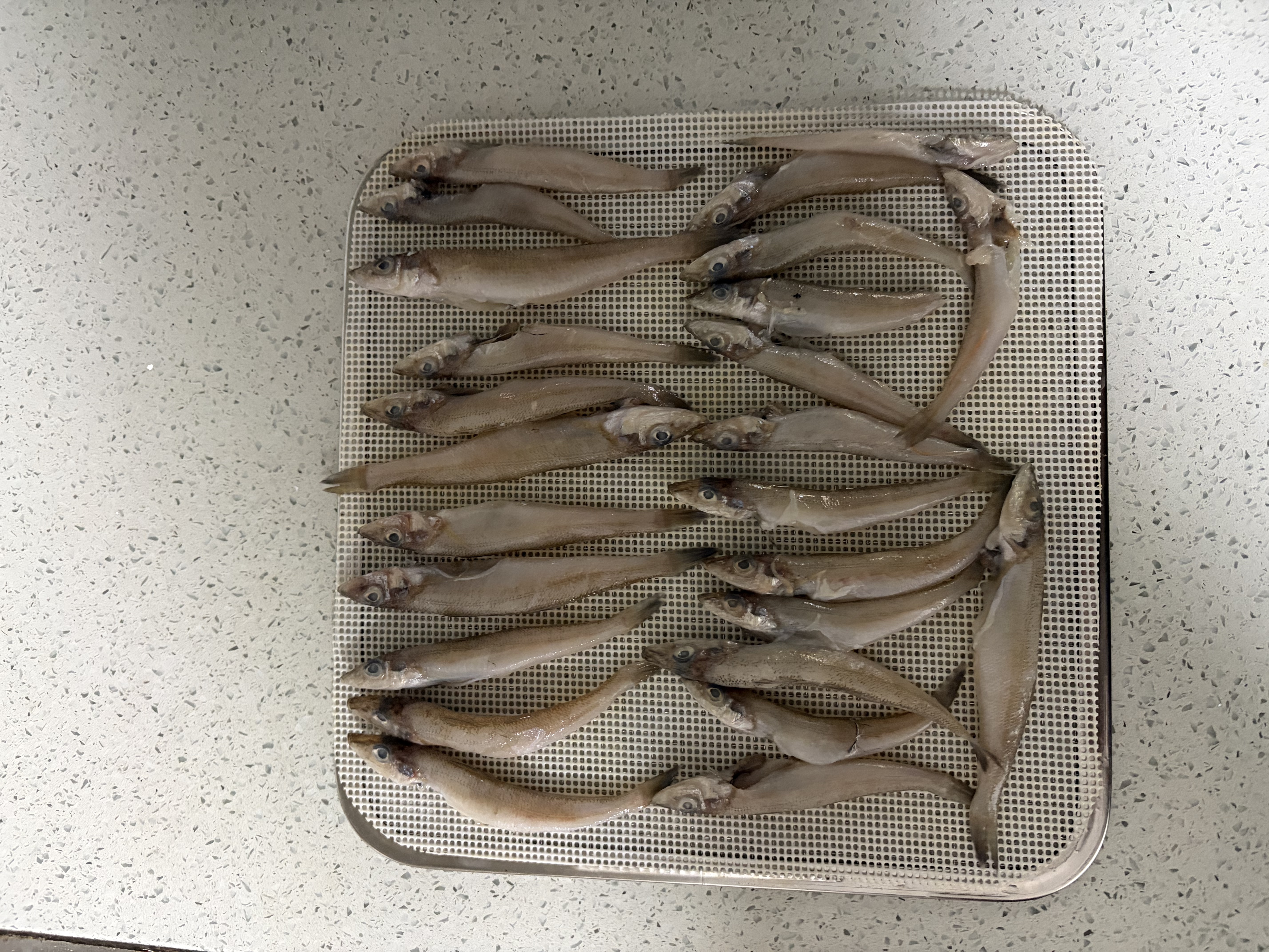处理内脏后
